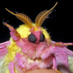 Maple Moth (@it_maple_moff) Twitter profile photo