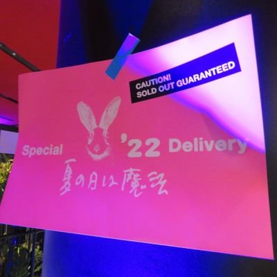 t22y11's profile picture. 🦊🗼🎸🎶 📷⛰️⛩️