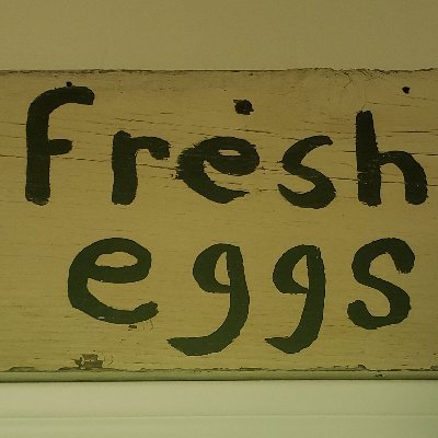 FreshEggs14's profile picture. Zero Honks Given. Eggcellent 🐣. Team Slow Ready 🕺. Billy's the Goat 🐐. Been doin' time for some other f'kers crime 🐀. Ride Bikes 🚲. Pet Dogs 🐶.