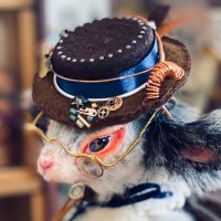 もるひめ屋@4/18〜夢見るギニョール展 (@moluxy) 's Twitter Profile Photo もるひめ屋@4/18〜夢見るギニョール展 (@moluxy) 's Twitter Profile Photo