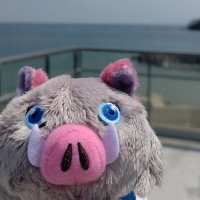 Donちゃん (@ynxdludxaihozbf) 's Twitter Profile