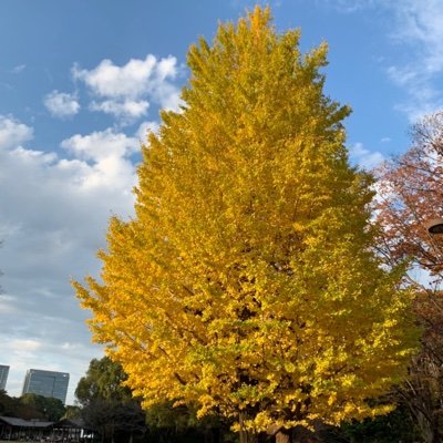 trainer_photo's profile picture. カメラマンとして独立を目指して奮闘中です。