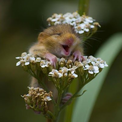 NancyR70811516's profile picture. 