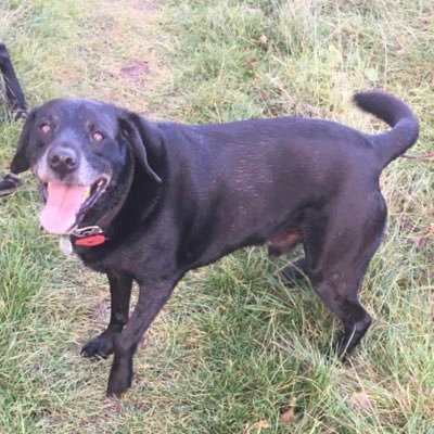 nails081070's profile picture. Ex Exhall and Wixford Cricket Club Chairman CTFC follower and magical mystery tour operator