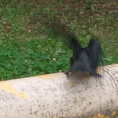 nedobrogo_ranku's profile picture. 0 днів як мене ніщо не собачило