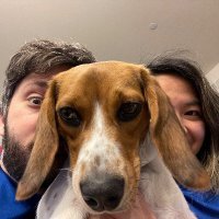 Official account for Yooper the beagle, partnering with pinay_artist on #YoopsNFT. NFT | Crypto |  Math | Finance | Dogs!