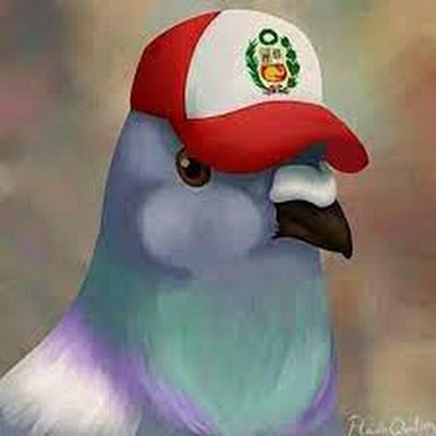 MecanicaPaloma's profile picture. 