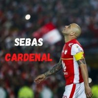 Sebastián Serrato(@SerratoSebas298) 's Twitter Profileg