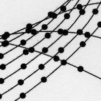 Phase Transition (@pt_sound) 's Twitter Profile