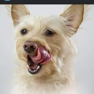 Tadznation's profile picture. Misunderstood