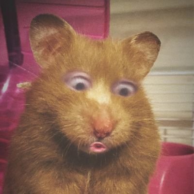 Jc_odelboR's profile picture. 