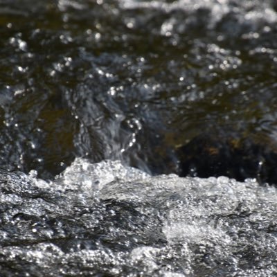 no573534650's profile picture. 成人済(30↑)/夢/閲覧垢/無言フォロー失礼します