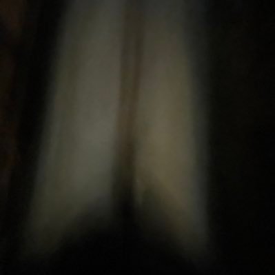 BANK123211's profile picture. 