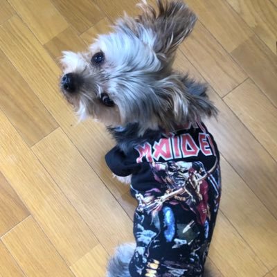 Ken.meta.rayさんのプロフィール画像