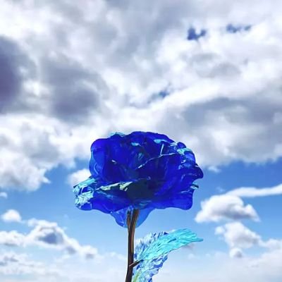 ひまなときに、ぽつぽつと。
精神的なことと、精神疾患と。
ドゴォン💥💥💥見習い&ドゴォン💥💥💥誤字部。
自覚に取り組み中。