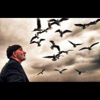 Enforce6638 (@enforce6638) 's Twitter Profile Photo