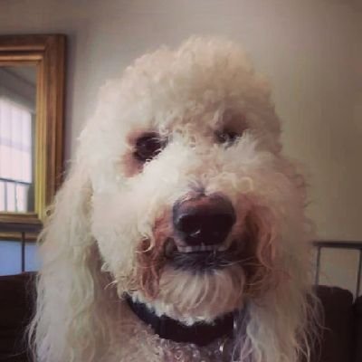 RochellePaskinH's profile picture. 