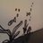 rolandtolentino's profile image
