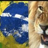 optimatium23π§π·π§π·π§π· (@optimatium23) 's Twitter Profile