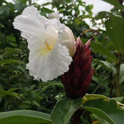 Khaja1905's profile picture. Fun and easygoing