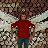 Qthedude16