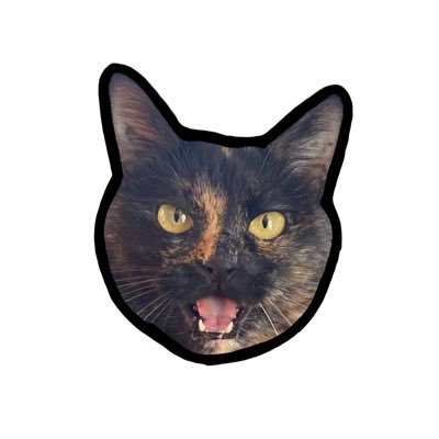 serika_55555's profile picture. 水泳YouTuber|美しさ優先|専門バタフライ|泳力検定1級|日本水泳連盟基礎水泳指導員オールA|ゆっくり綺麗に泳ぐ|神奈川県民|体幹おばけ