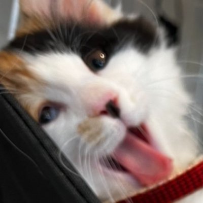 🈲キンキン🈲さんのプロフィール画像