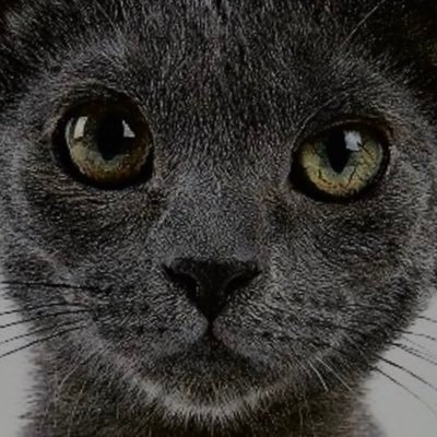 QoFL89i13QCgnpv's profile picture. Natka666