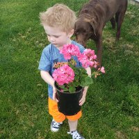 JoAnn Stagani (@jstagani) 's Twitter Profile Photo