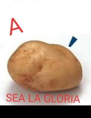 A PAPÁ SEA LA GLORIA