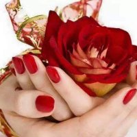 Mrs Wafaa (@faffy30) 's Twitter Profile