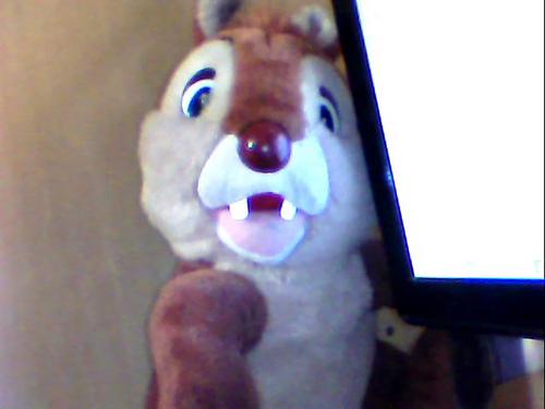 salesfinanceiro's profile picture. 