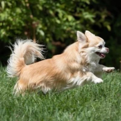 ただ真実が知りたくて色々調べたこの2年。陰謀論はほぼ真実だった。子供達に明るい未来を！ みんなが笑顔で暮らせる幸せな世界にしたい♪