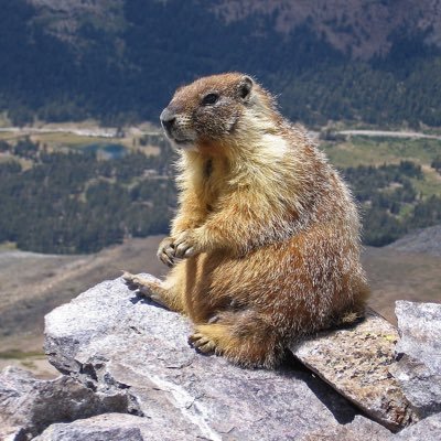 pizdeckakpoebat's profile picture. 🥺👉👈 method acting