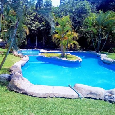 Normaoaxcoyoc's profile picture. Divertida, leer, escuchar música y correr con mis perros