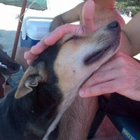 Camilo Aristizabal Botero (@caristizabalb) 's Twitter Profile Photo