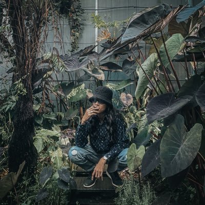 NhatDuy0710's profile picture. 