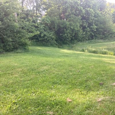 21nconfused's profile picture. Looking at memes and making podcasts