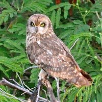 Donald R. Koelper (@donald_from_hi) 's Twitter Profile Photo Donald R. Koelper (@donald_from_hi) 's Twitter Profile Photo