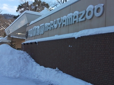 旅行が好きです。テレビよりラジオが好きです。