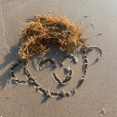 Rikuno_Kujira's profile picture. 名は 鯨 🐳KATANAとYAEH!! 好き!
秘密基地で遊び☆☆車中泊にN-VAN 
★凸凹にJimny ☆☆兼業農家 ⋯ よって色々呟きますが、
 人見知りで恥ずかしがり屋　🐳 楽しいのが１番 ！めんどくさぃのはたいぎぃ！　🐳大切な子は絶対!!