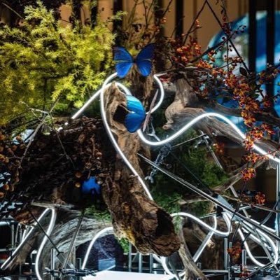 shibat0a's profile picture. 