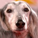 Adrian Curran - @AdrianCurran8 - Twitter