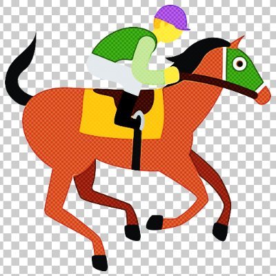 Horse Racing Fans Profile