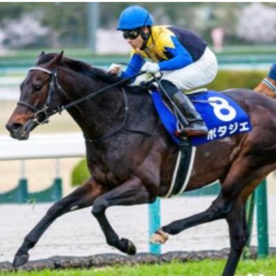 🐴重賞レースの気になる2頭。競馬は勝っても負けても面白い😄