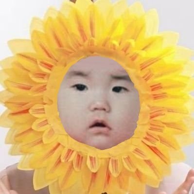 우나 • sunflower 🐥🌻 • 내 💙 RG?