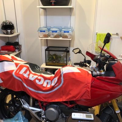 コーンスネーク、ブラジルレインボーボア、レオパ、クレスとバイクの部屋で暮らしてます。フォロワーのみなさん、 いつもありがとうございます。