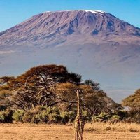 Mgodi Endelevu (@mgodiendelevu) 's Twitter Profile