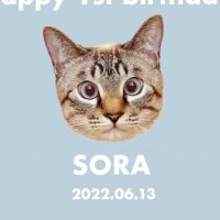 そら🐾(@_sora0613_) 's Twitter Profile Photo