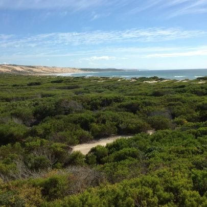 msviceprincipal's profile picture. 